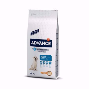 Imagem de ADVANCE Dog | Maxi Adult Chicken & Rice 14 kg