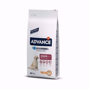 Imagem de ADVANCE Dog | Maxi Senior Chicken & Rice 12 kg