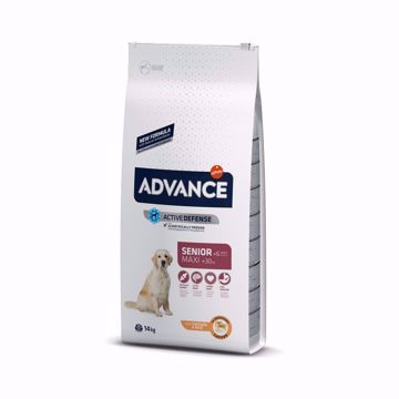 Imagem de ADVANCE Dog | Maxi Senior Chicken & Rice 14 kg