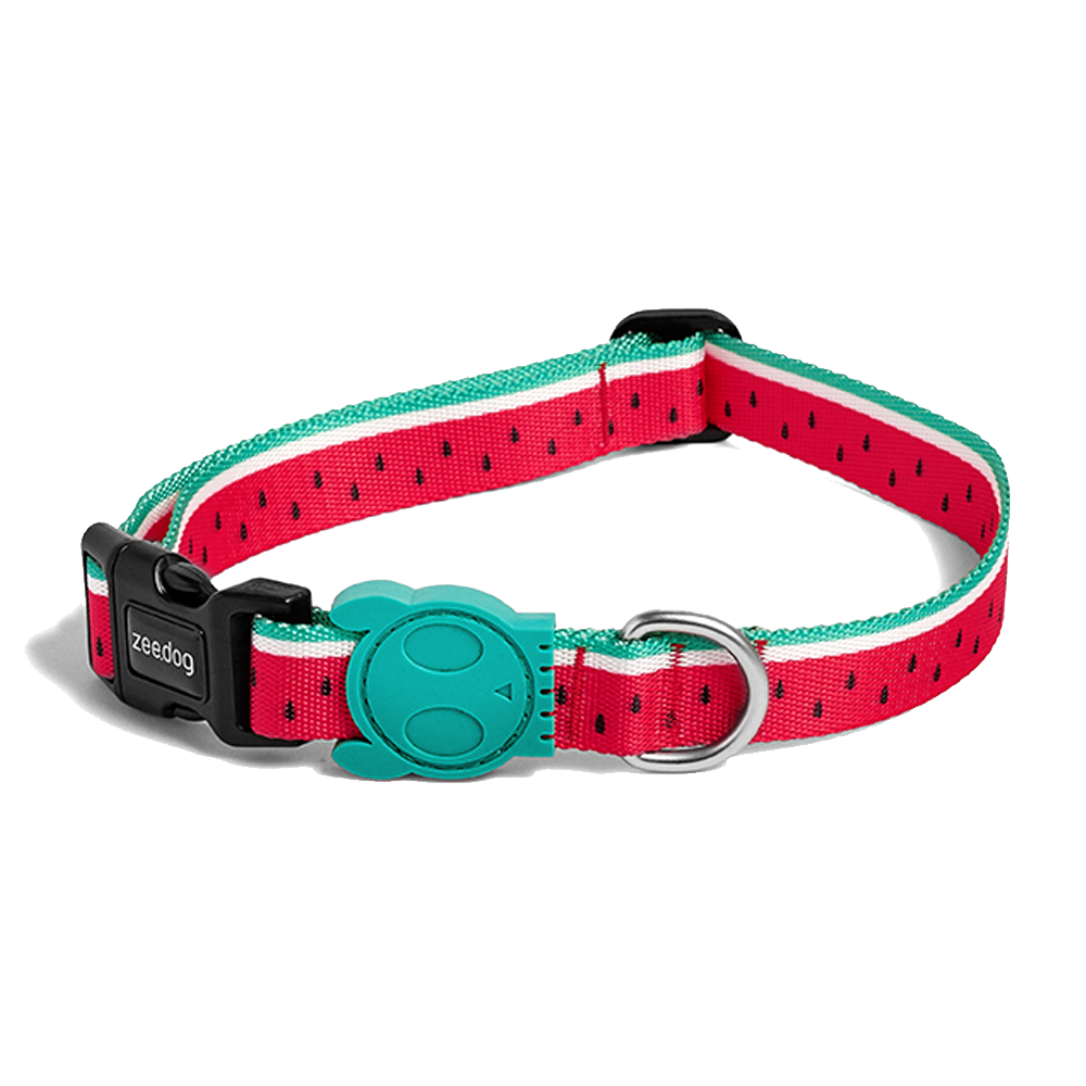 ThePetMarket,ZEE.DOG Collar Lola