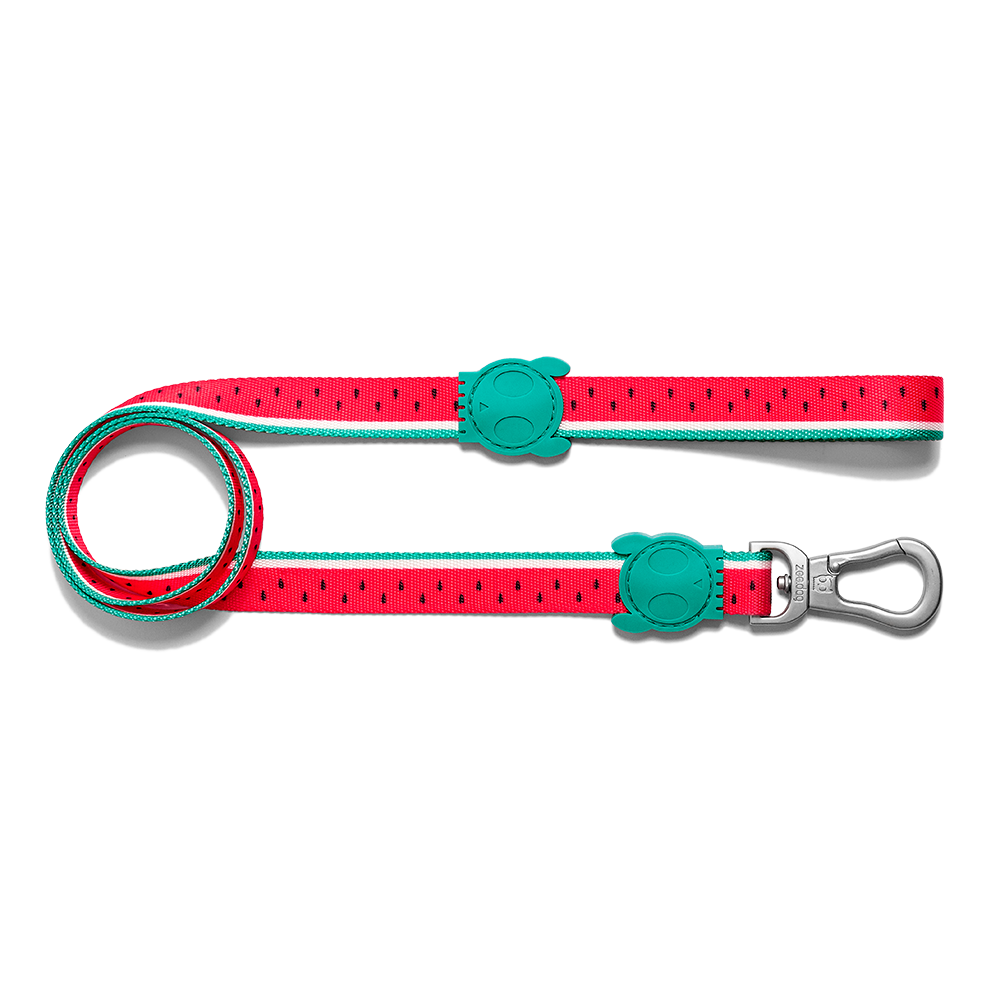 ThePetMarket,ZEE.DOG Leash Lola