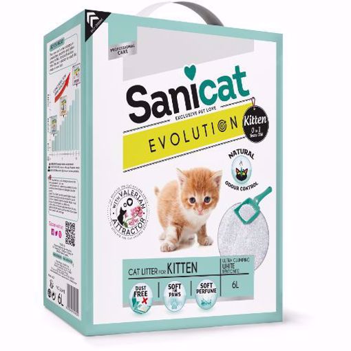 Imagem de SANICAT | Evolution Kitten 6L