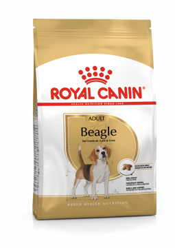 Imagem de ROYAL CANIN | Dog Beagle Adult