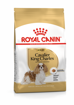Imagem de ROYAL CANIN | Dog Cavalier King Charles Adult 3 kg
