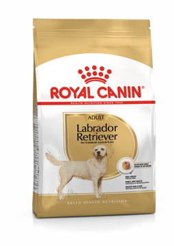 Imagem de ROYAL CANIN | Dog Labrador Retriever Adult