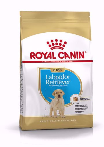 Imagem de ROYAL CANIN | Dog Labrador Retriever Puppy