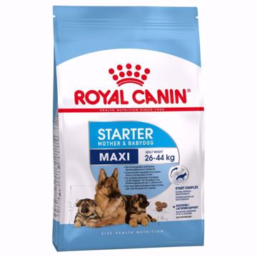 Imagem de ROYAL CANIN | Dog Maxi Starter