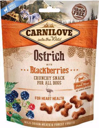 Imagem de CARNILOVE Dog | Crunchy Snack Ostrich & Blackberries 200 g