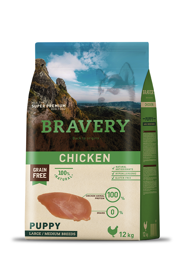 bravery chicken puppy