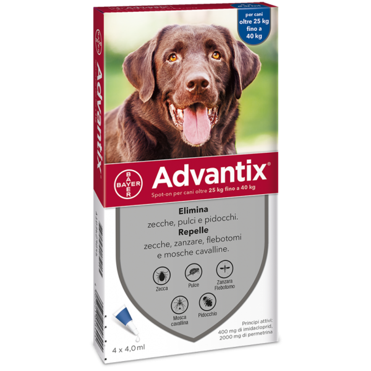 Advantix caes 2024