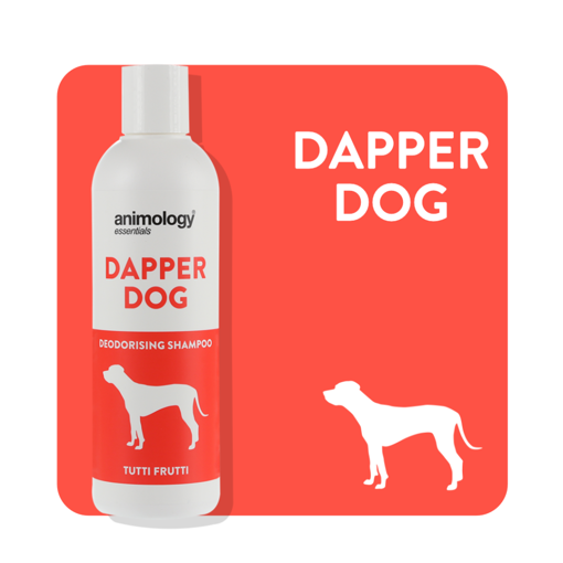 Imagem de ANIMOLOGY Dog  | Shampoo Dapper Dog 250 ml