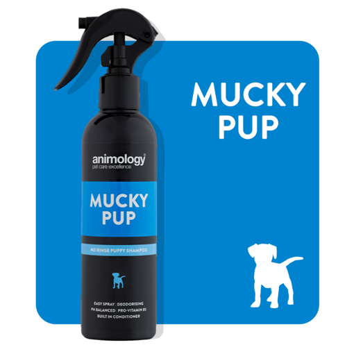Imagem de ANIMOLOGY Dog | Spray para Cachorro Mucky Pup 250 ml