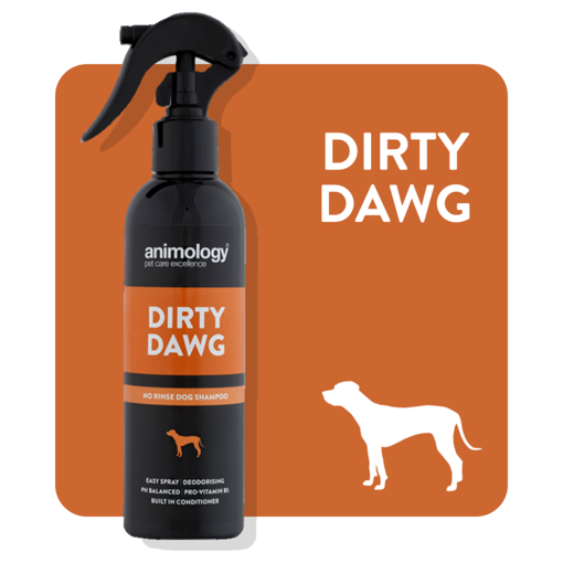 Imagem de ANIMOLOGY Dog | Shampoo Seco Dirty Dwag 250 ml