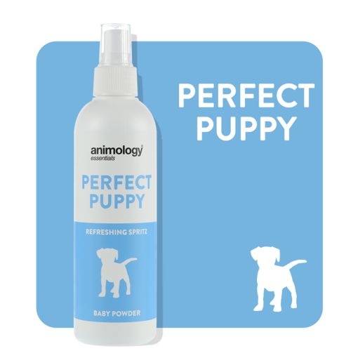 Imagem de ANIMOLOGY Dog | Spray Desodorizante para Cachorro Perfect Puppy 250 ml
