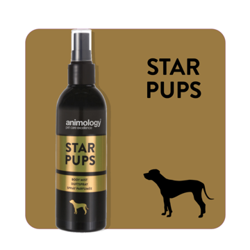 Imagem de ANIMOLOGY Dog | Perfume Spray para Cachorro Star Pups 150 ml