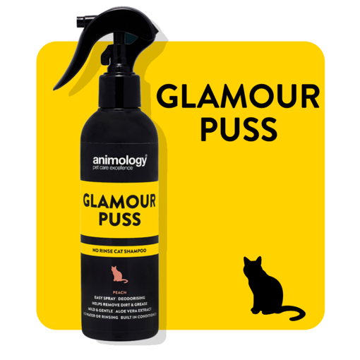 Imagem de ANIMOLOGY Cat | Shampoo Seco Glamour Puss 250 ml