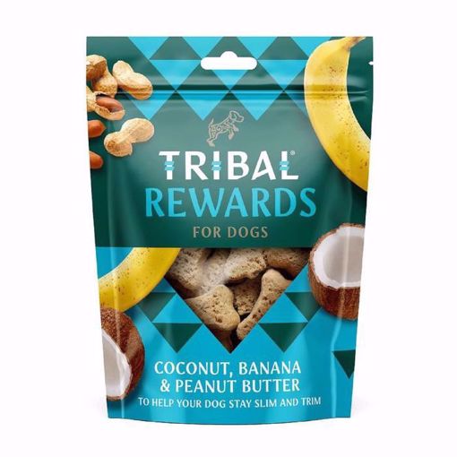 Imagem de TRIBAL | Biscoitos Côco, Banana e Manteiga de Amendoim para Cão