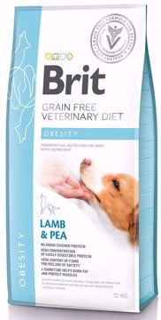 Imagem de BRIT Veterinary Diet | Dog Obesity Grain-Free Lamb & Pea 2 kg