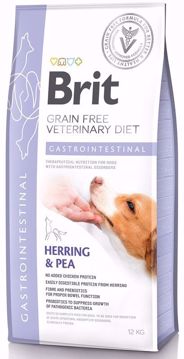 Imagem de BRIT Veterinary Diet | Dog Gastrointestinal Grain-Free Herring & Pea