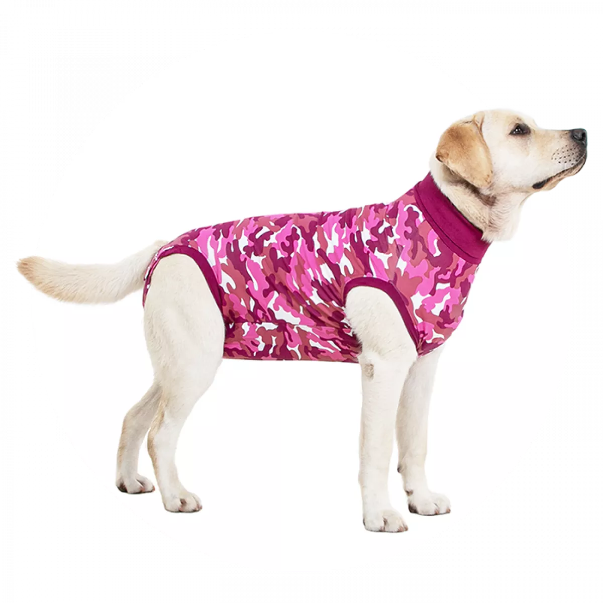 ThePetMarket,SUITICAL Dog, Recovery Suit® - Fato de Recuperação pós  Cirurgico