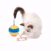 Imagem de CATIT | Play Spinning Bee Interactive Cat Toy