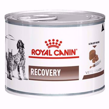 Imagem de ROYAL CANINE Vet | Wet Recovery Canine & Feline
